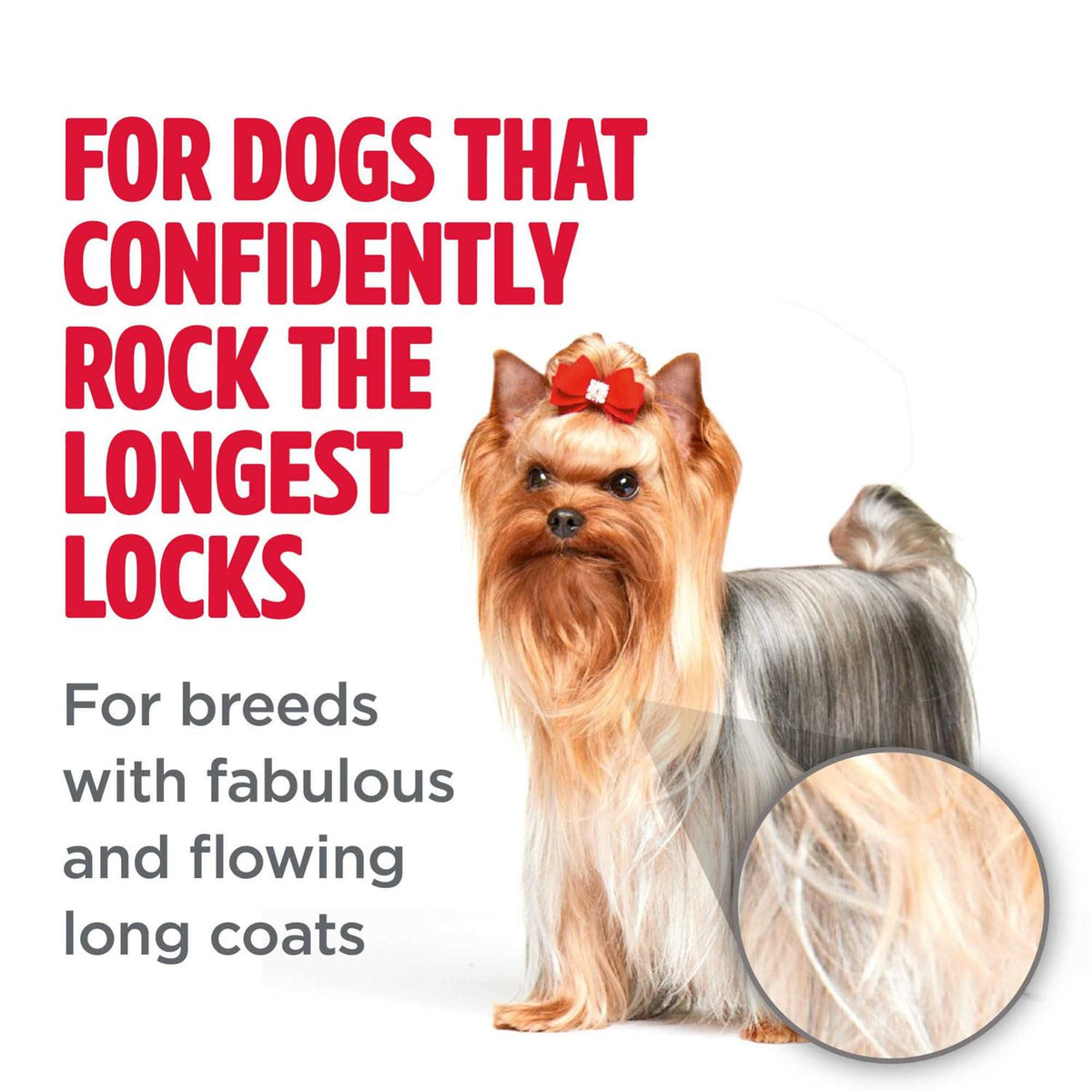 Long Haired Coat Dog Shampoo H422512