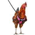 Chicken Harness with 6ft Leash P949611