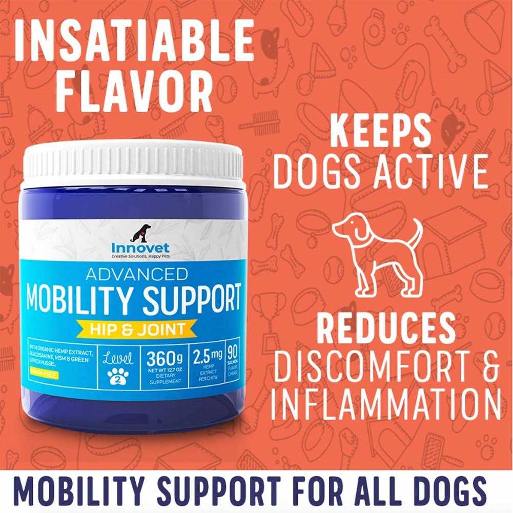 Hemp Hip & Joint Supplement for Dogs A33716