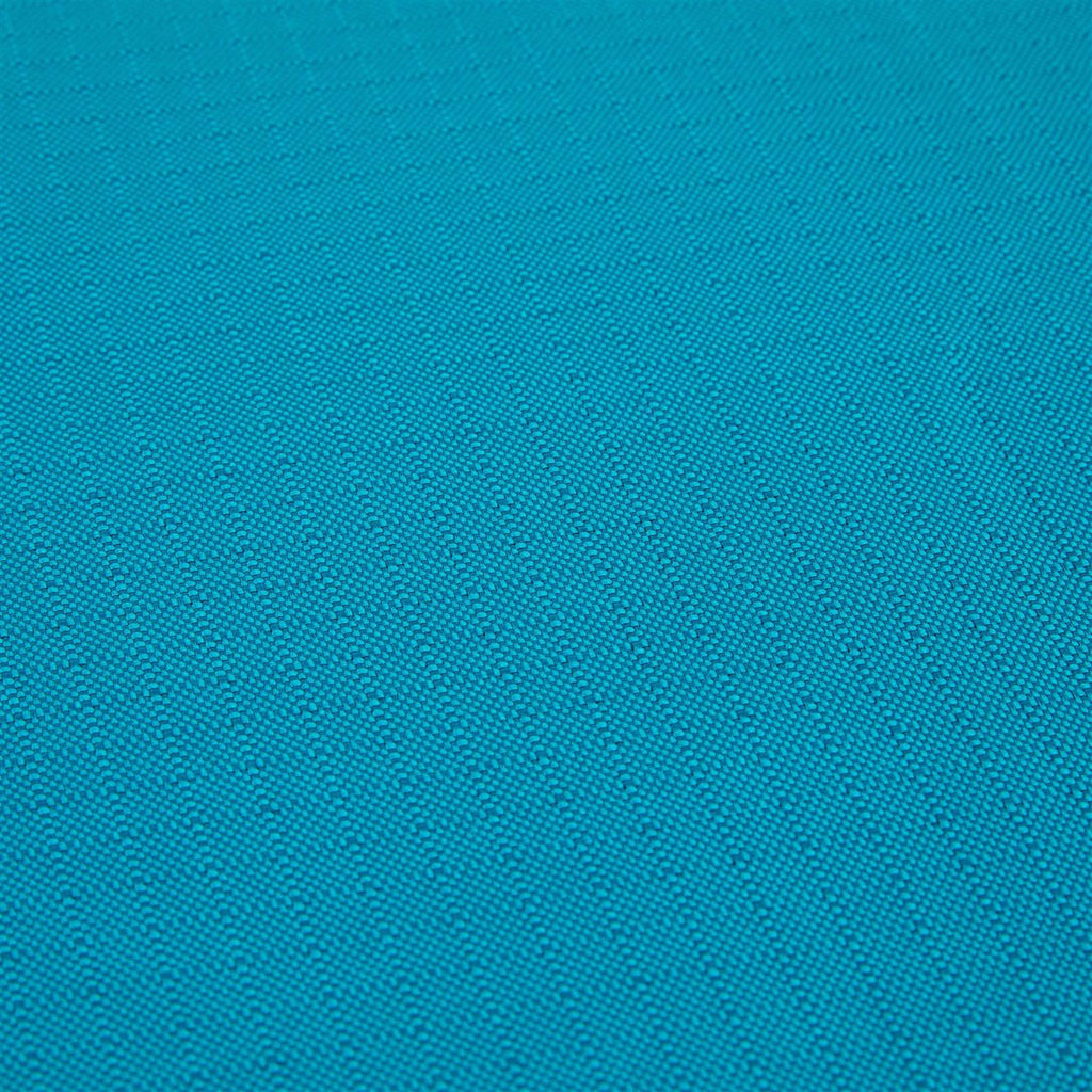 Teal Dog Mat U91453