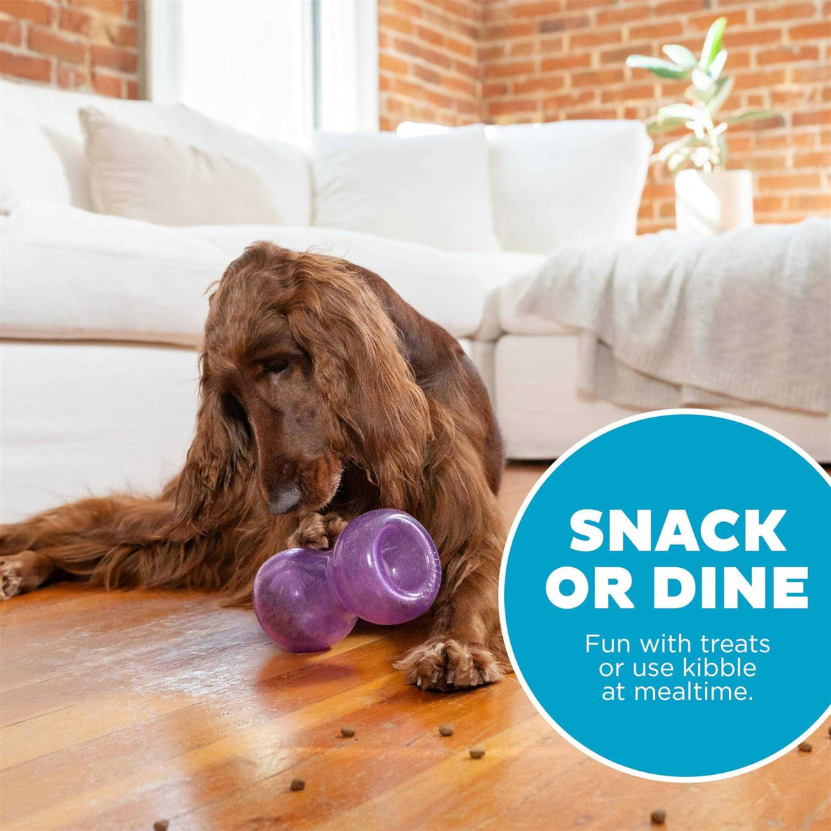 Durable Interactive Dog Toy K67333