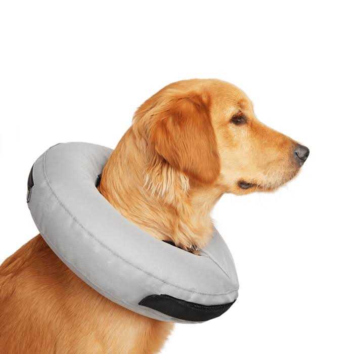 Inflatable Dog Collar W44274