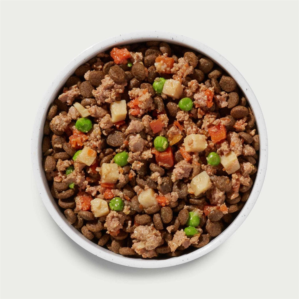 Beef & Chicken Recipe Wet Natural Dog Food I433058