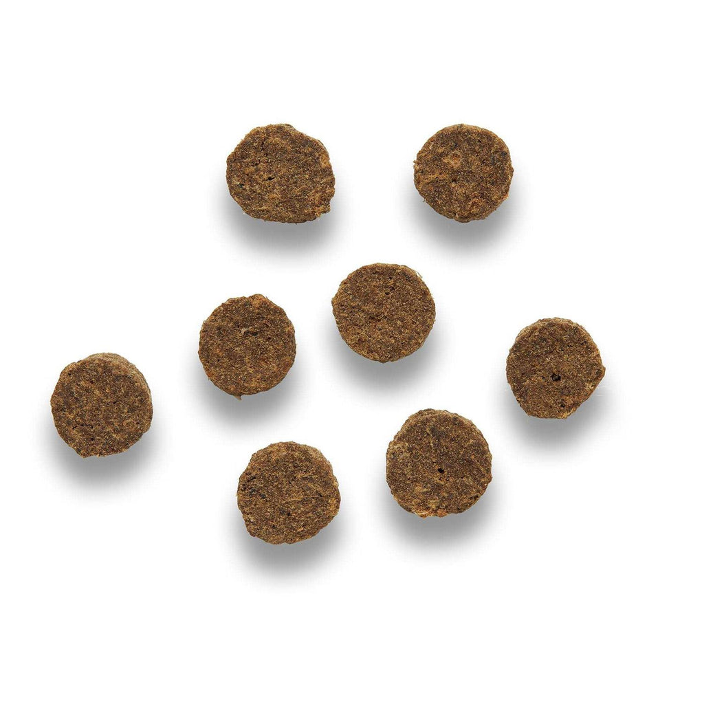 Cat Treats T426644