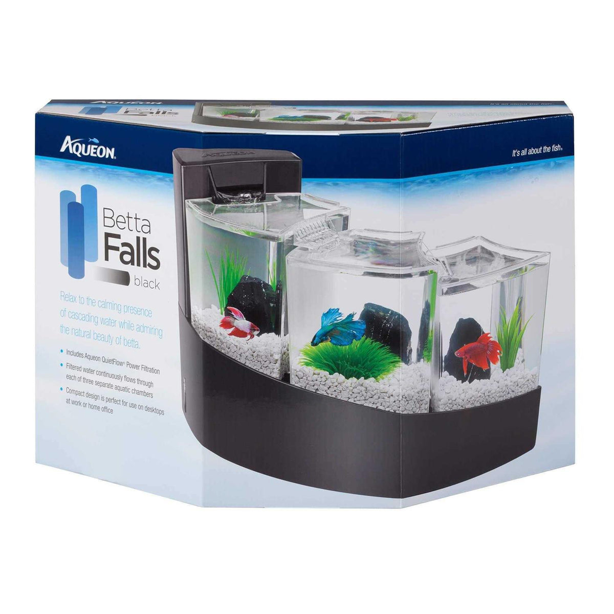 Betta Fish Tank Y72181
