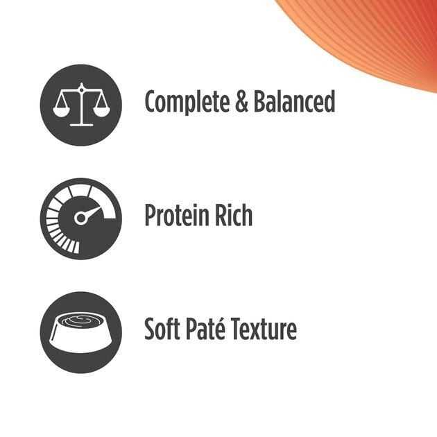 Chicken & Salmon Pate Wet Cat Food P869340