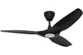 Black Downrod F82991