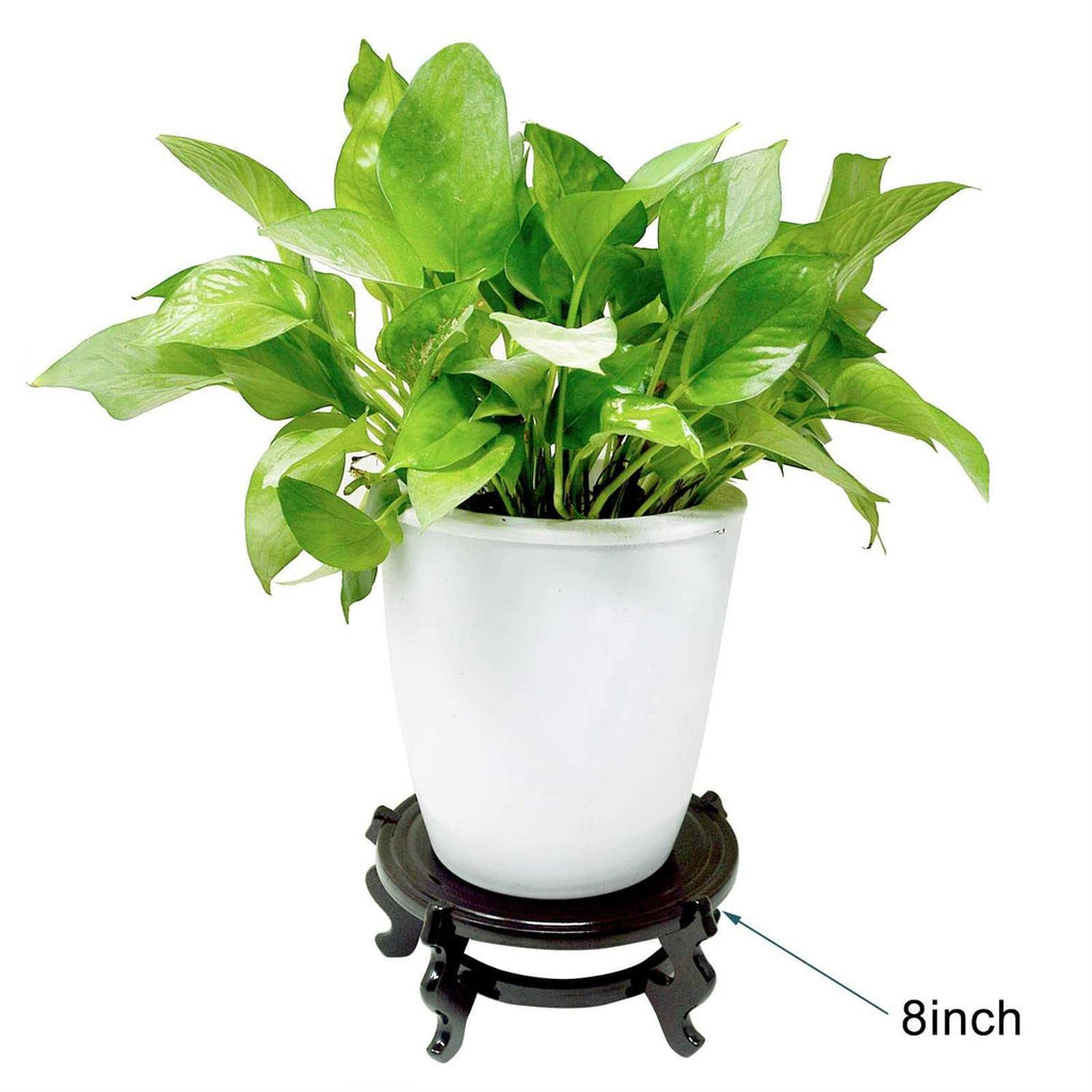 Wooden Fishbowl Planter Display Stand K21577